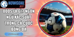 Odds Là Gì